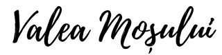 Logo-Valea-Mosului-black